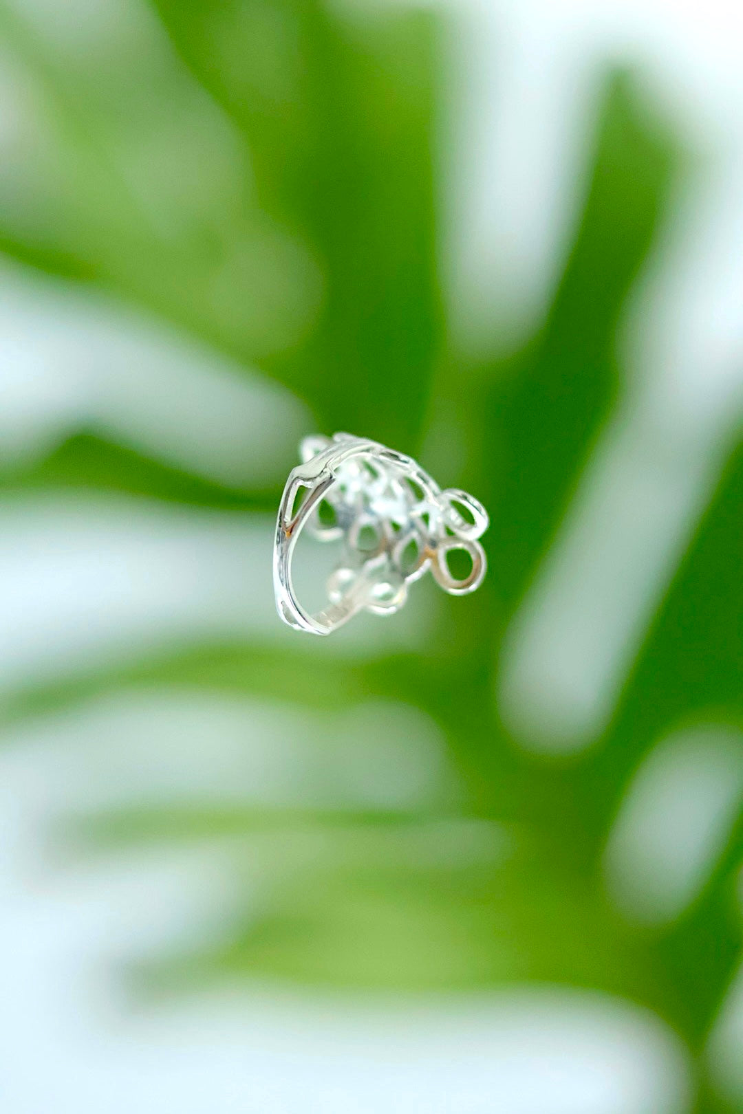 【Purpura by MATSUO Toshihiko】PLANTA RING