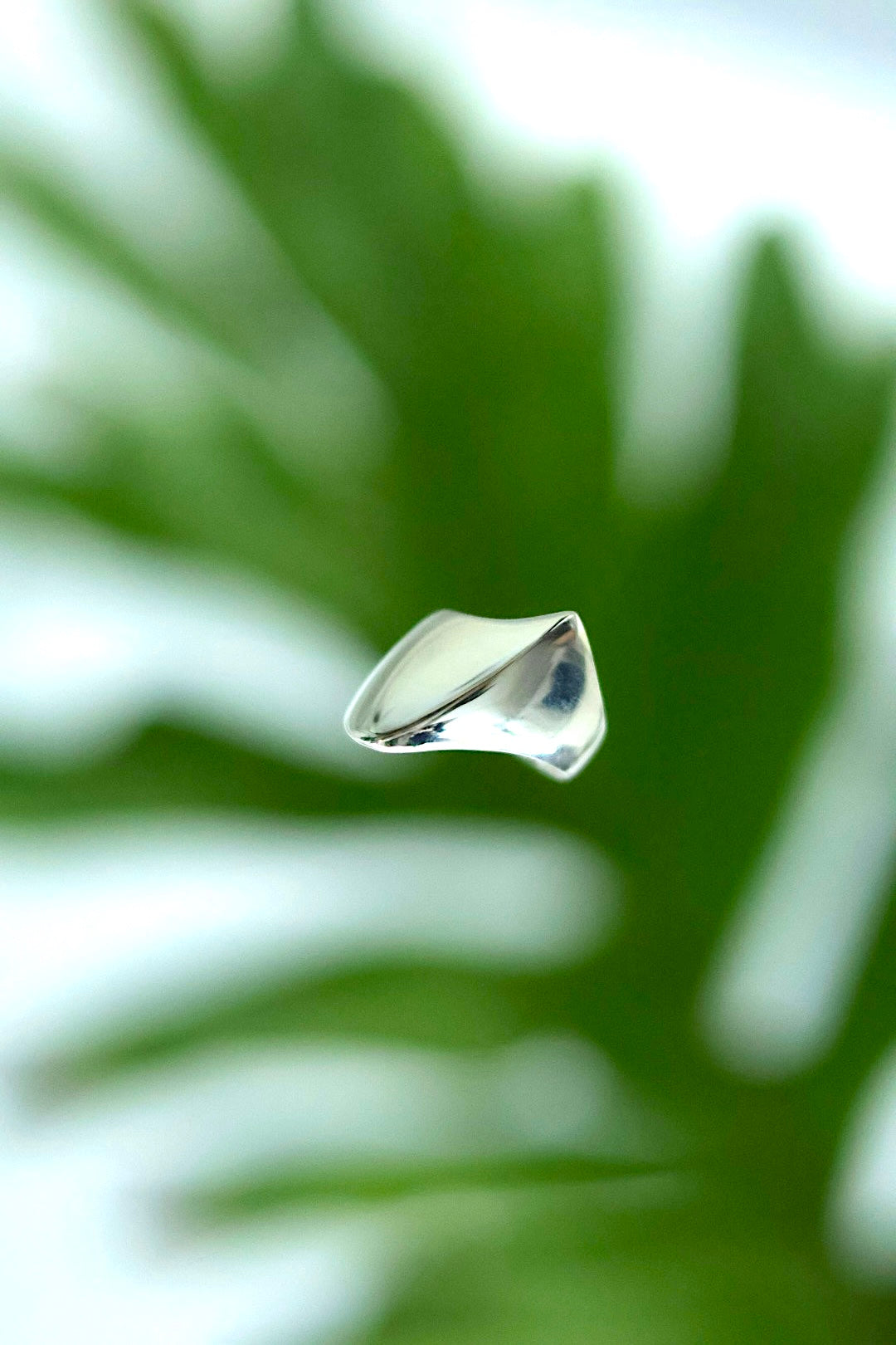 【Purpura by MATSUO Toshihiko】Refracción ring