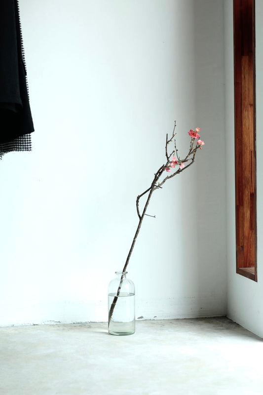 新年のご挨拶と26SS新ブランドのお取扱いについて。