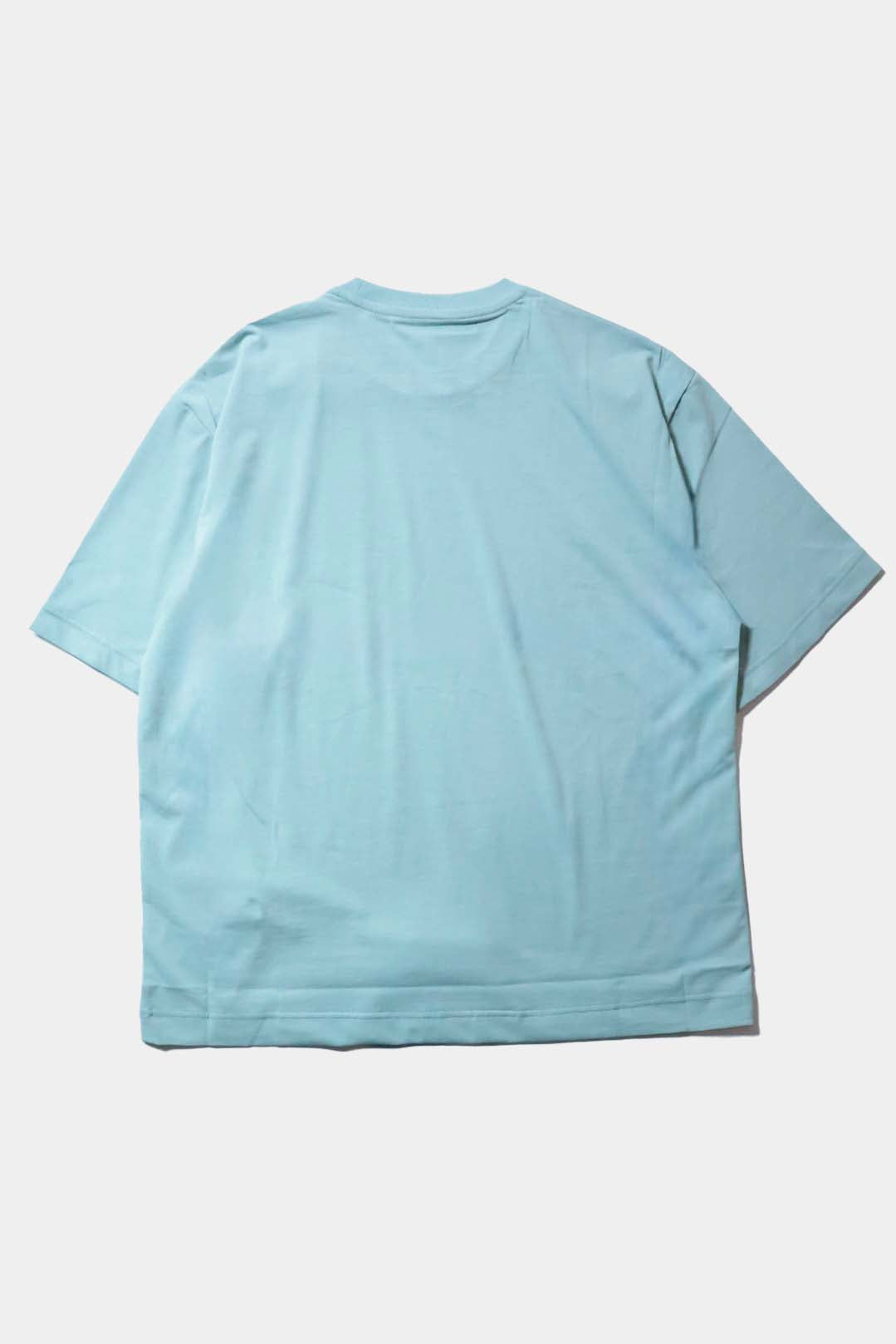 26SS【KANEMASA PHIL.】36G HIGH TWIST SS TEE